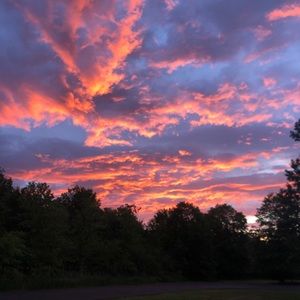 Meet your Posher, Kaylie